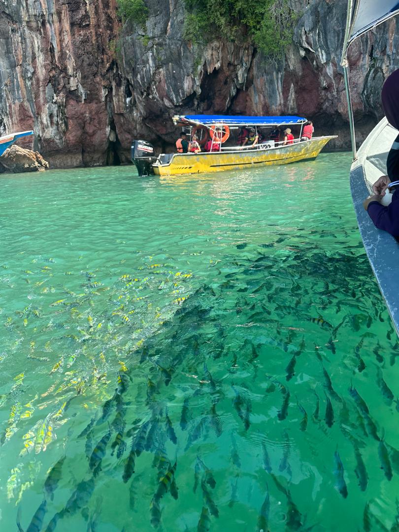 ZH LANGKAWI MANGROVE TOUR
